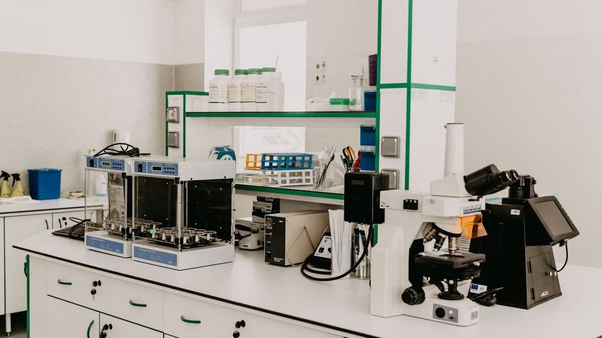 Healthcare & Life Sciences